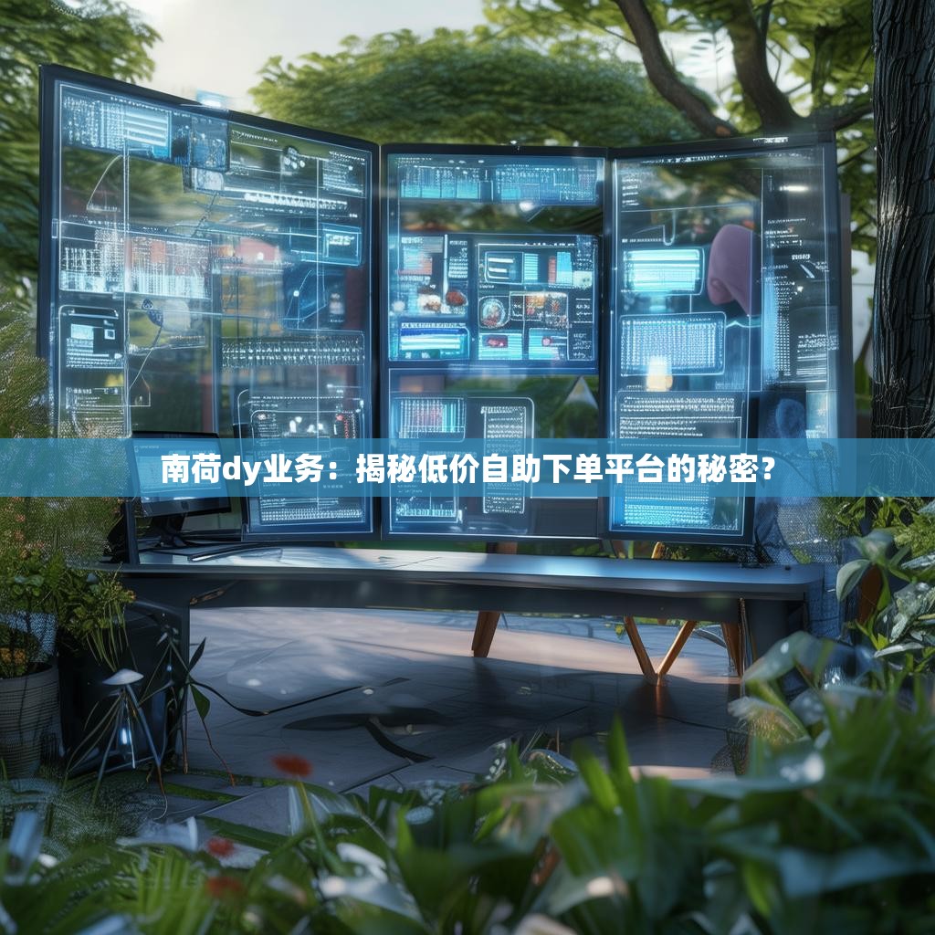 南荷dy业务：揭秘低价自助下单平台的秘密？