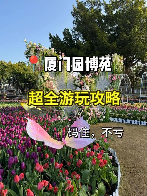 抖音24小时自助粉丝下单,夏别代网涨下单