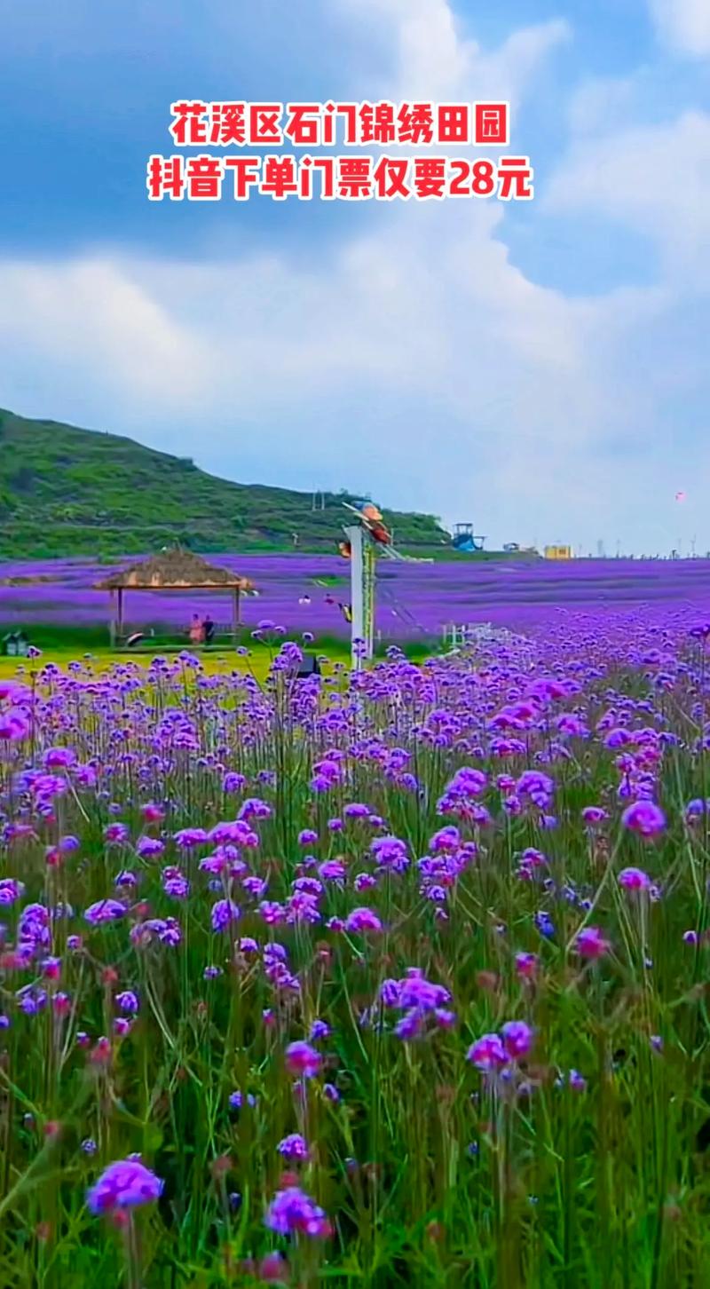 Ks24小时秒单业务平台最低价,dy赞自助下单服务网站秒到账