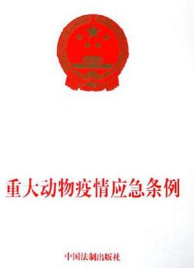 抖音秒涨赞一元,dy低价下单平台入口